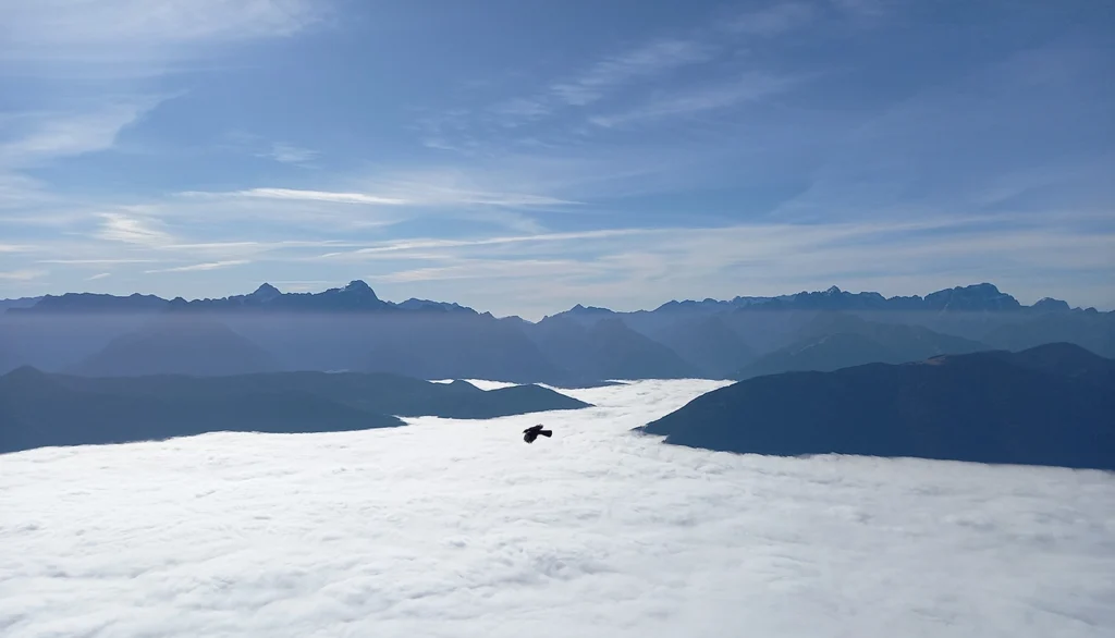 Ein Bild mit einem fliegenden Adler, im Hintergrund die Berge darunter liegt noch der Nebel